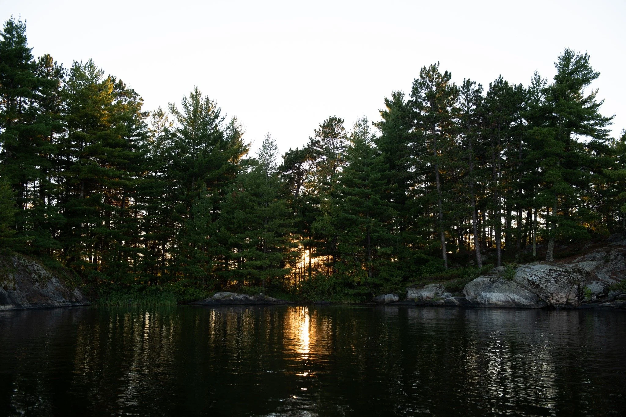 ☕🍵 Start your morning with coffee, conversation, and a journey north. Join Voyageurs Conservancy for Nature at Nine: Discover the Wonders of Voyageurs National Park at the Harriet Alexander Nature Center.

Settle in by the fireplace to discover the 