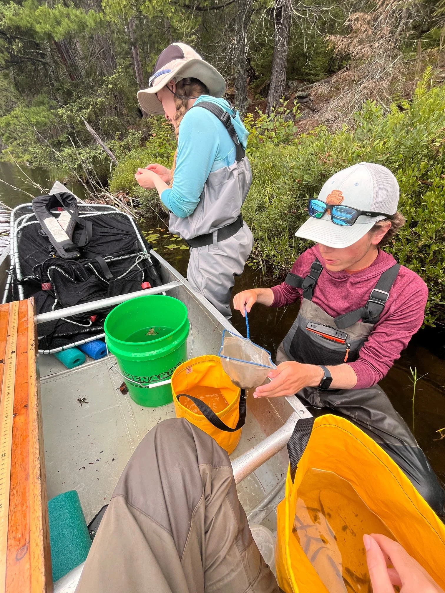 50 Years, 50 Legacies: Voyageurs Field Fellows