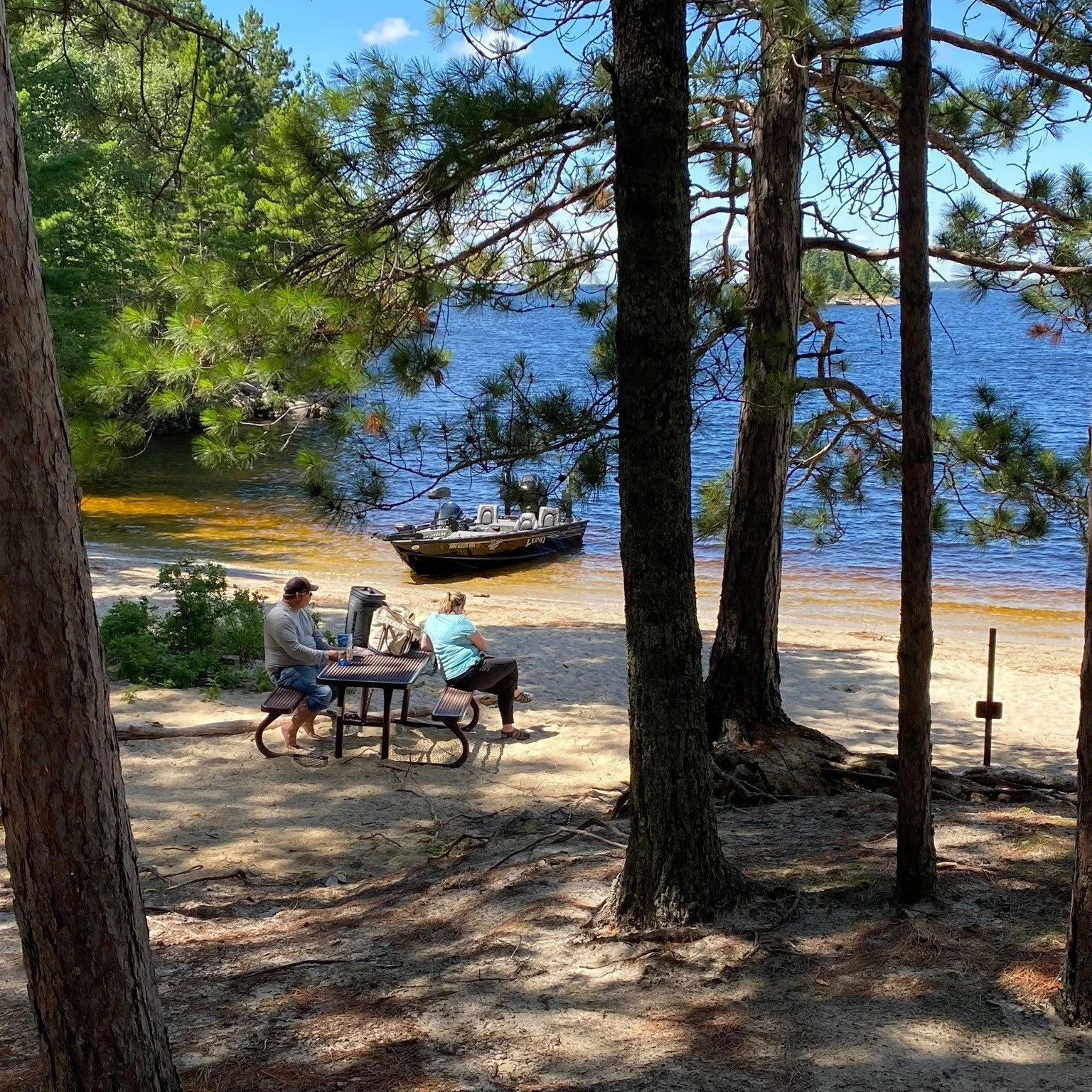 Use your lunch break to plan your next summer trip in Voyageurs National Park!

 🥾🔭Voyageurs Trip Planning 101 &ndash; March 5 |  12&ndash;1 pm�

If Voyageurs has been on your list but you&rsquo;re not sure what a trip actually looks like, this one