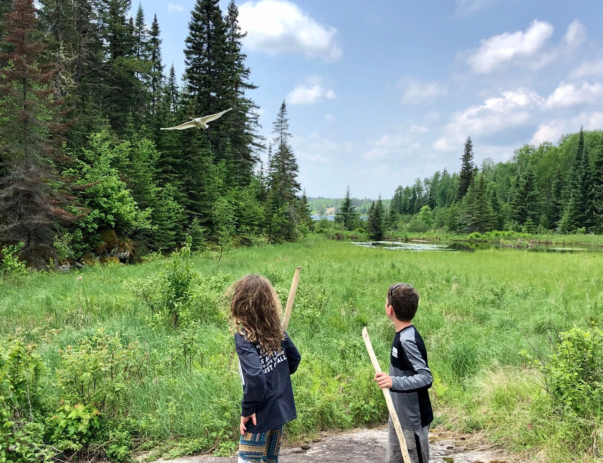 Discover the marvels of migratory birds this spring! 🐦✨

Join Voyageurs Conservancy and the International Falls Public Library this Wednesday, April 1, for a fun, hands-on afternoon of birding:

🗺 2:00-3:00 p.m: Indoor presentation: Learn what make