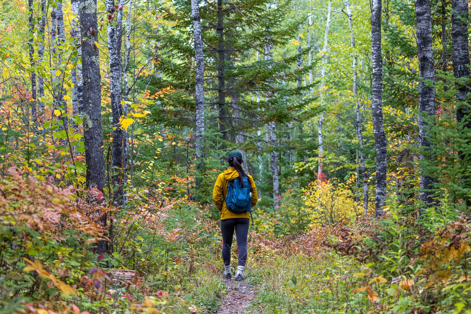 Wild Teaching and Learning: Fall Foraging