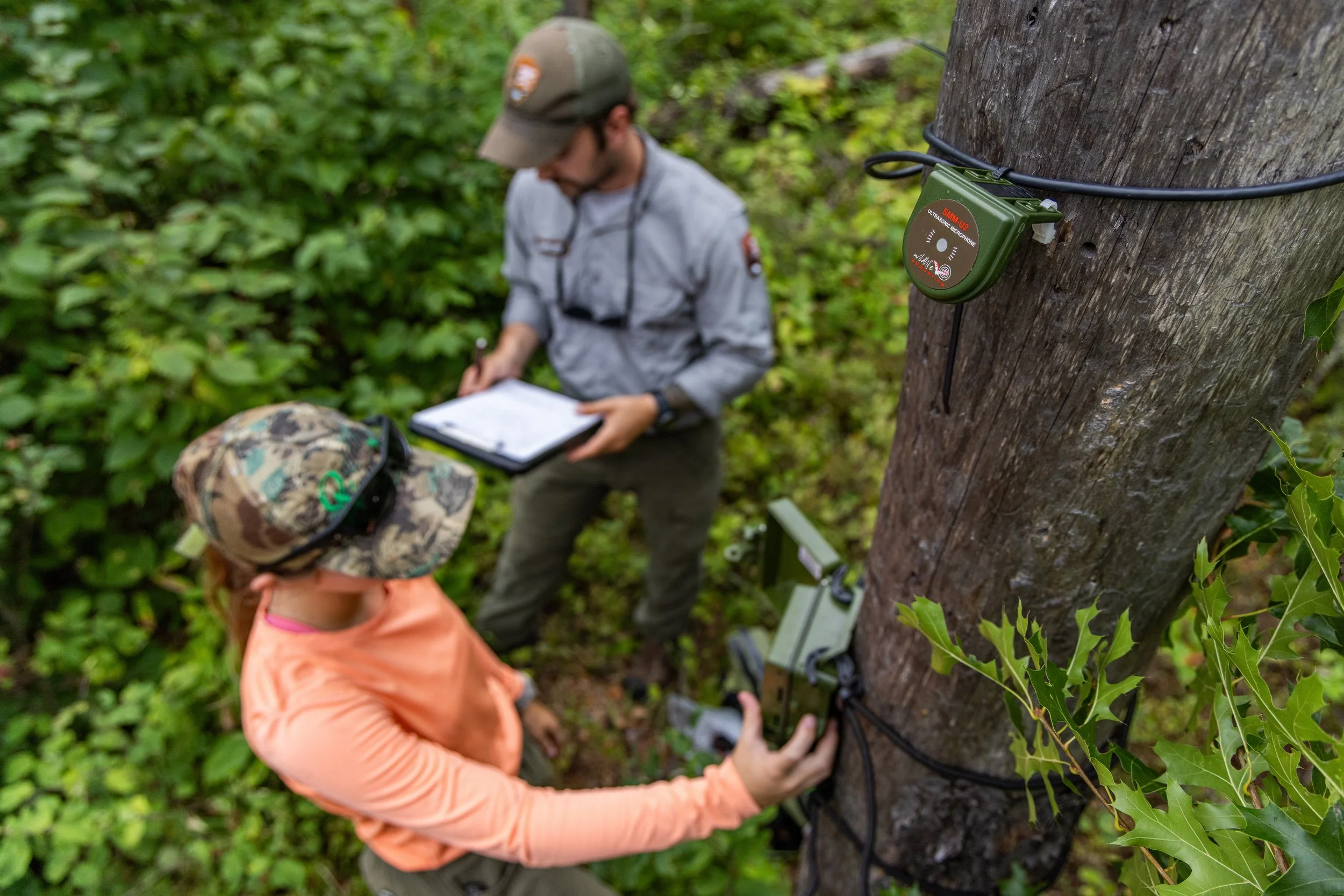   Listening for Bats: Inside Voyageurs’ Long-Term Bat Monitoring Program