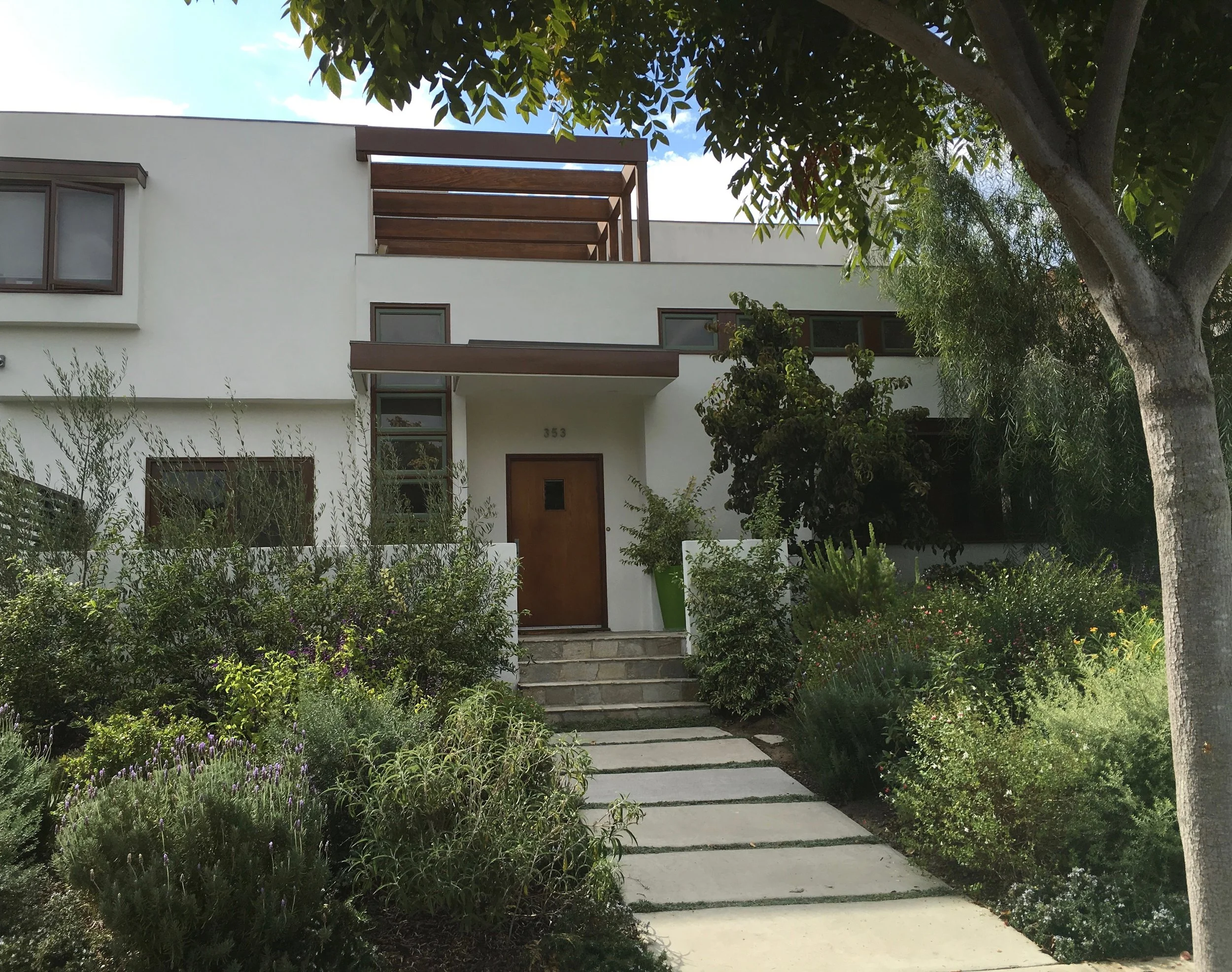 andrea front tree.jpg