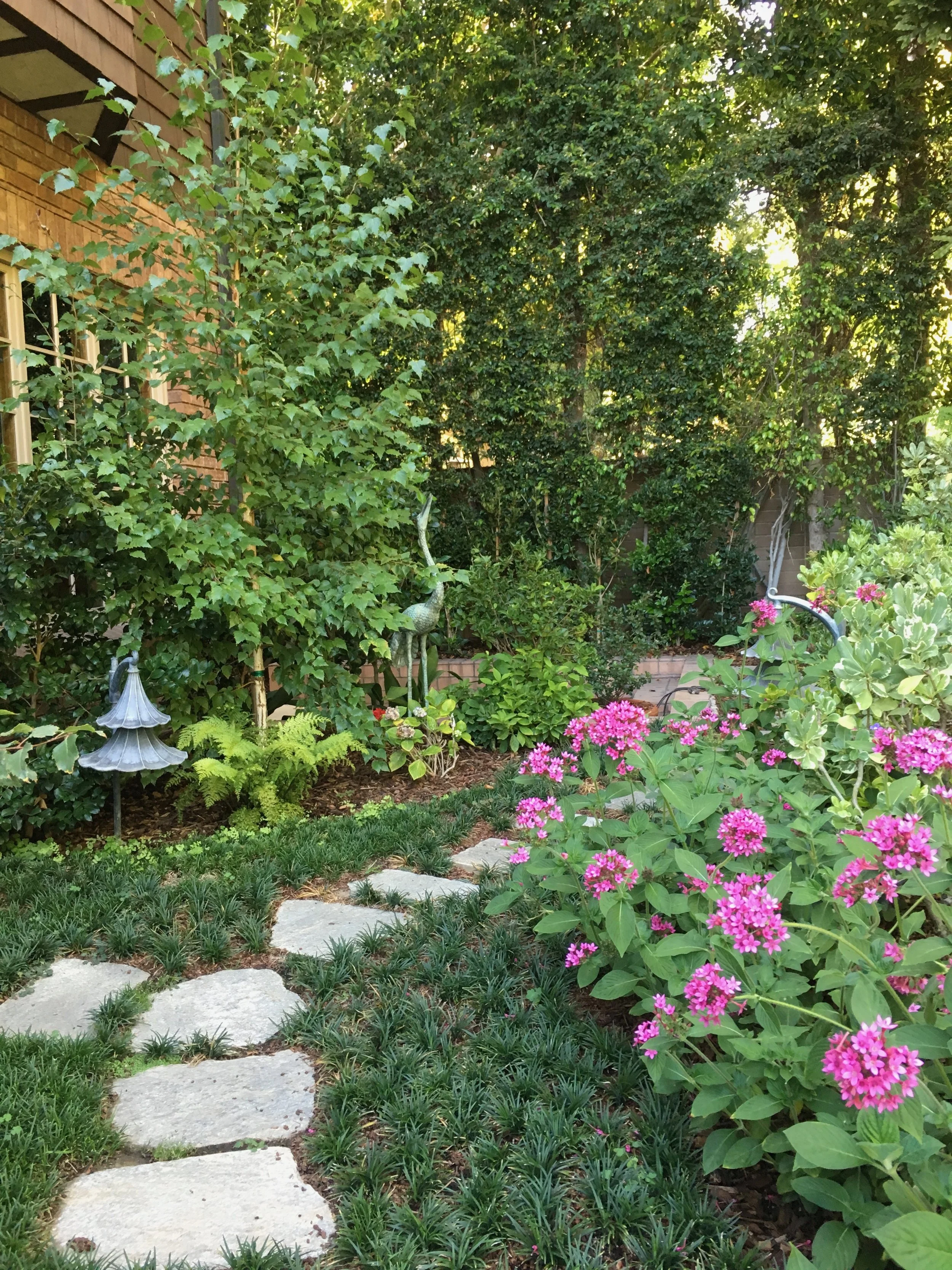 linette birch area.jpg