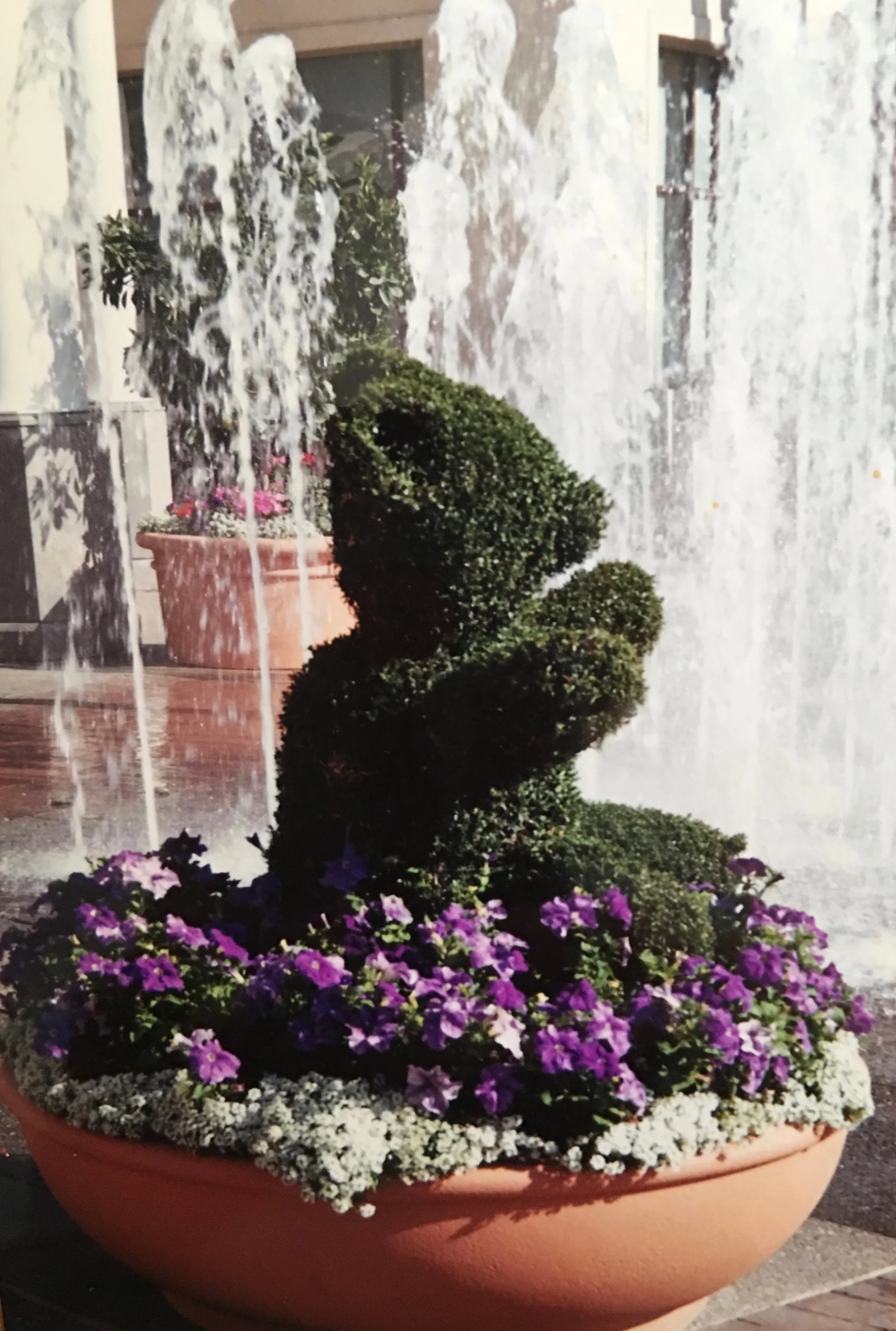 bear topiary.jpg