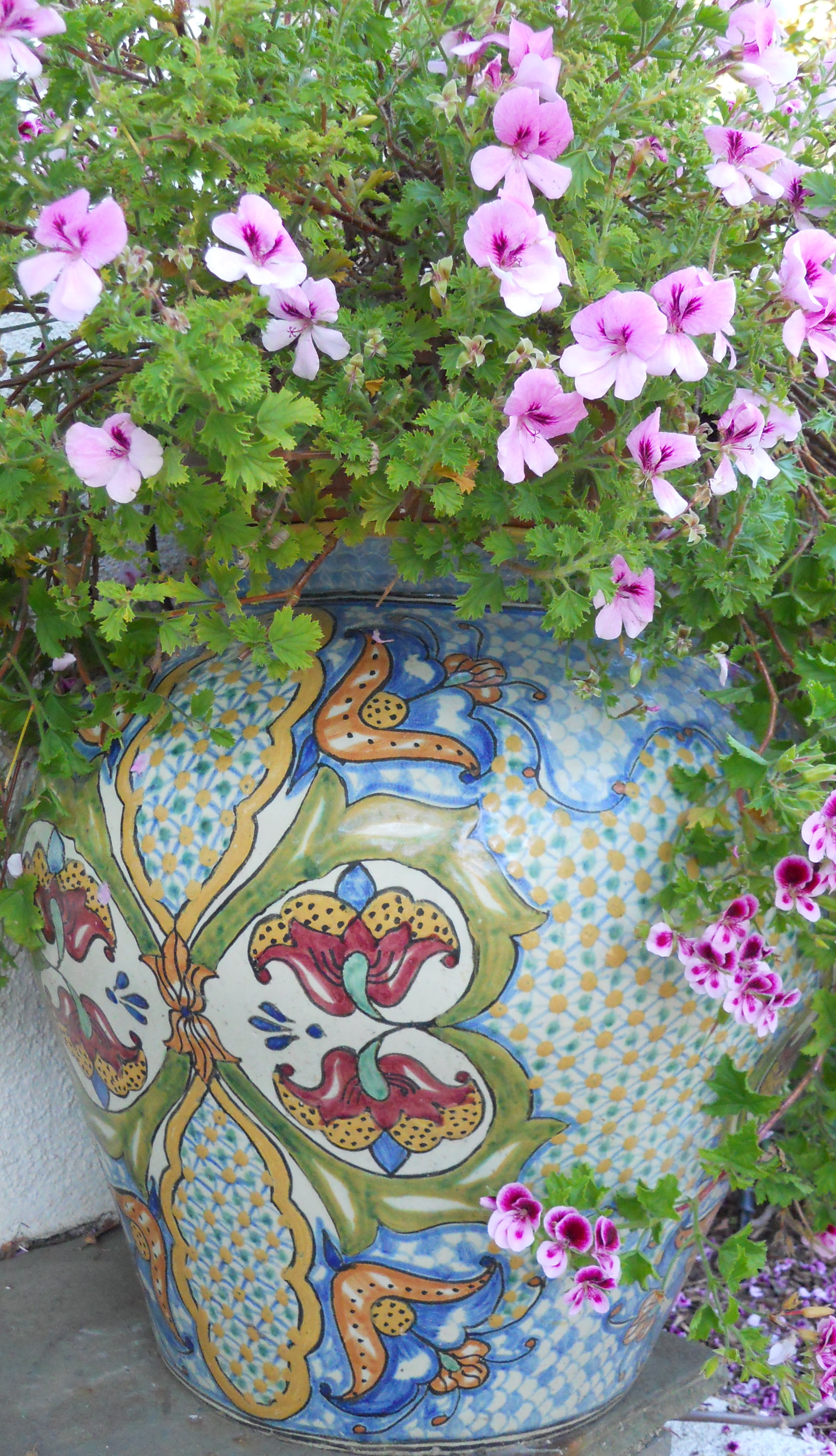 Joan Geranium Pot.JPG