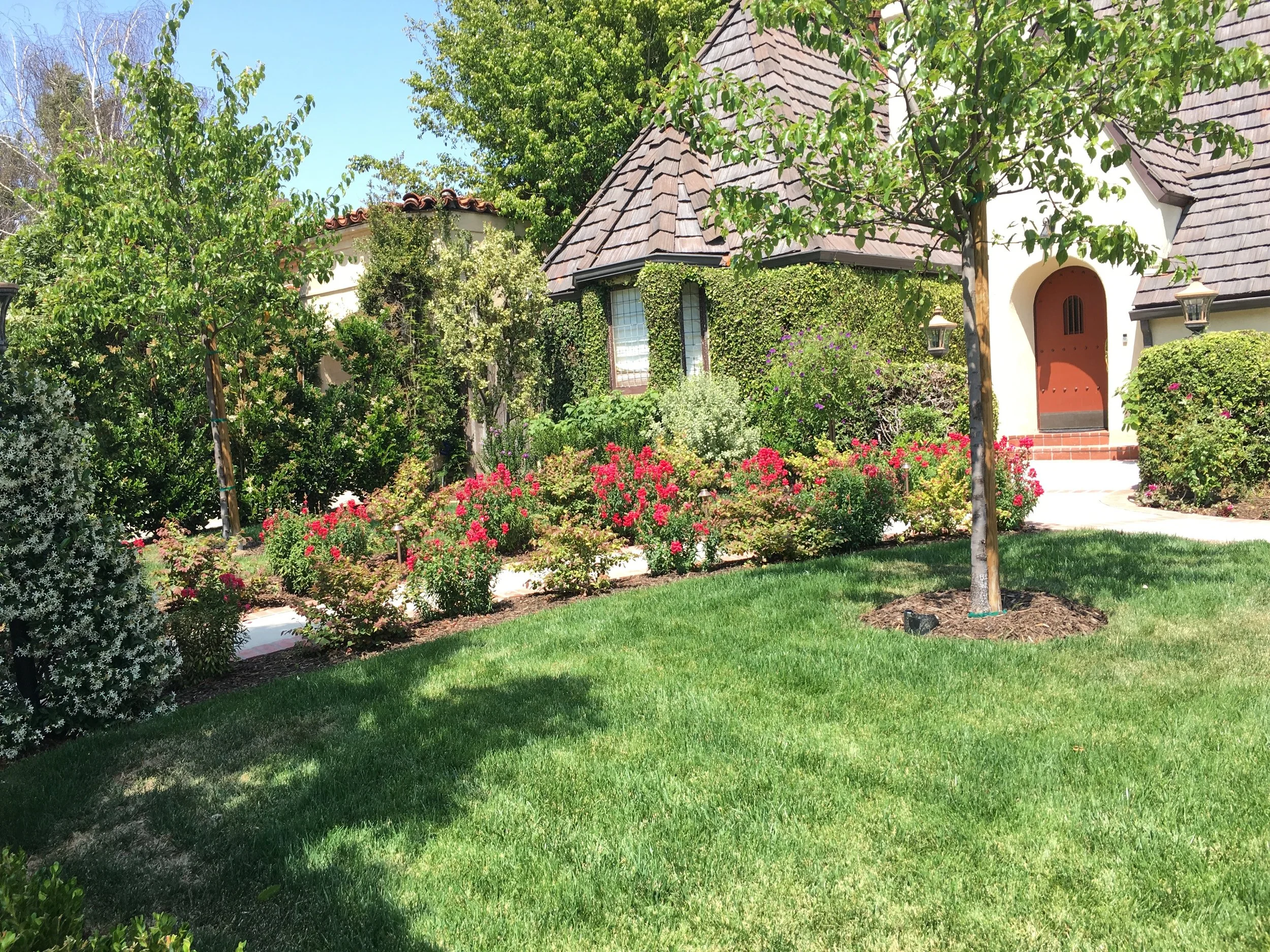 carla left front.jpg