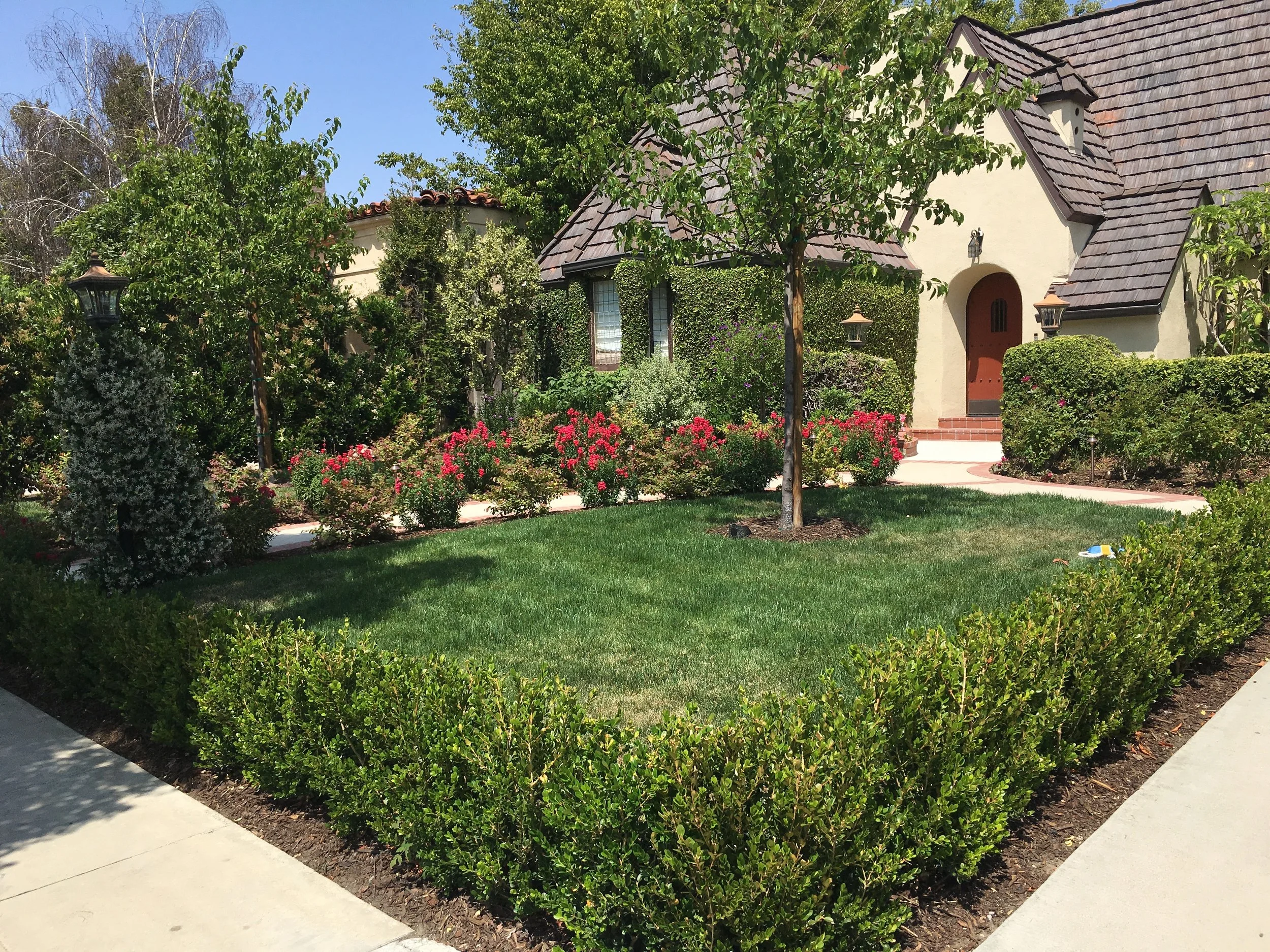 carla front hedge.jpg