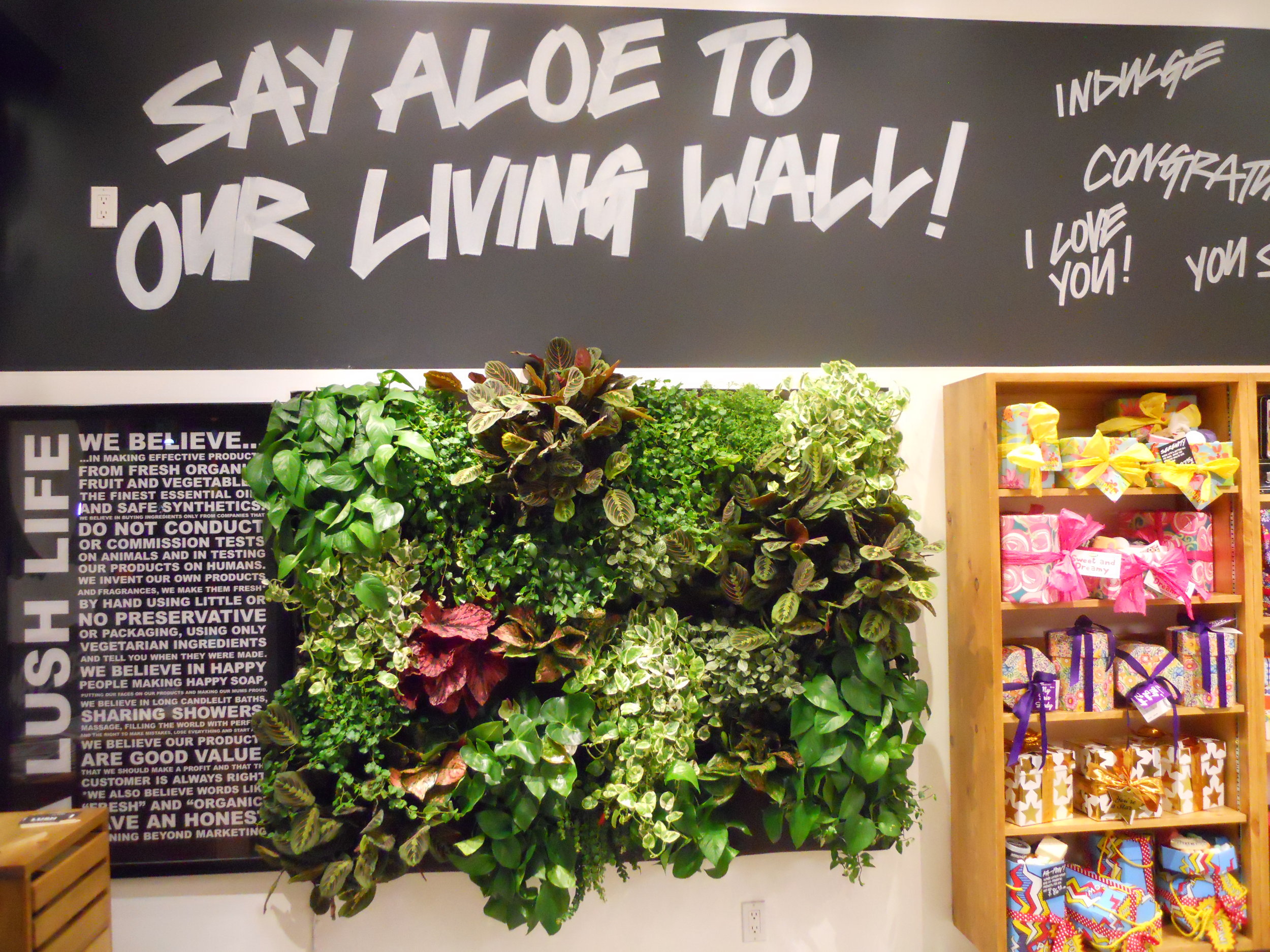 lush sm.JPG