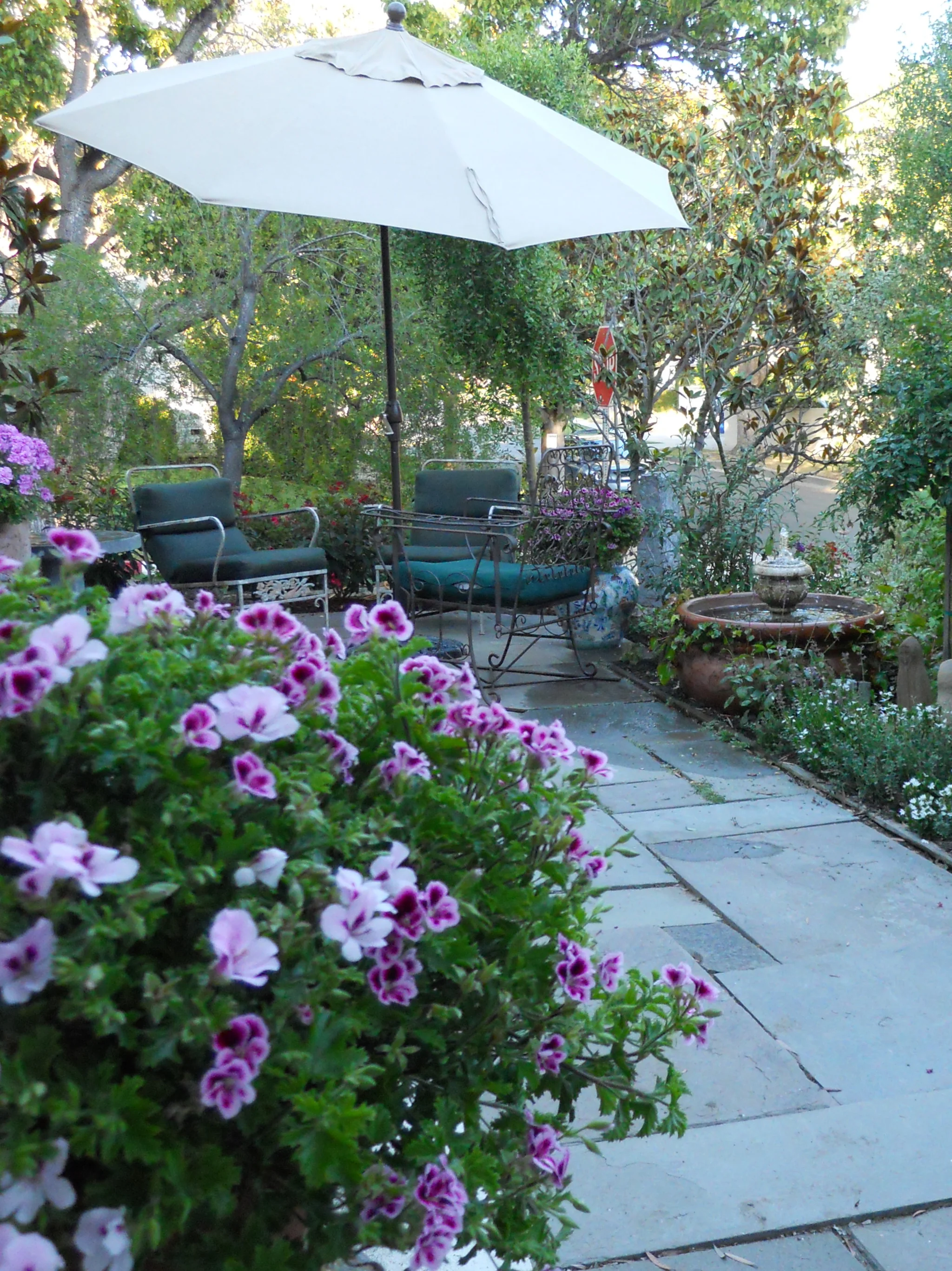 joan front patio.JPG