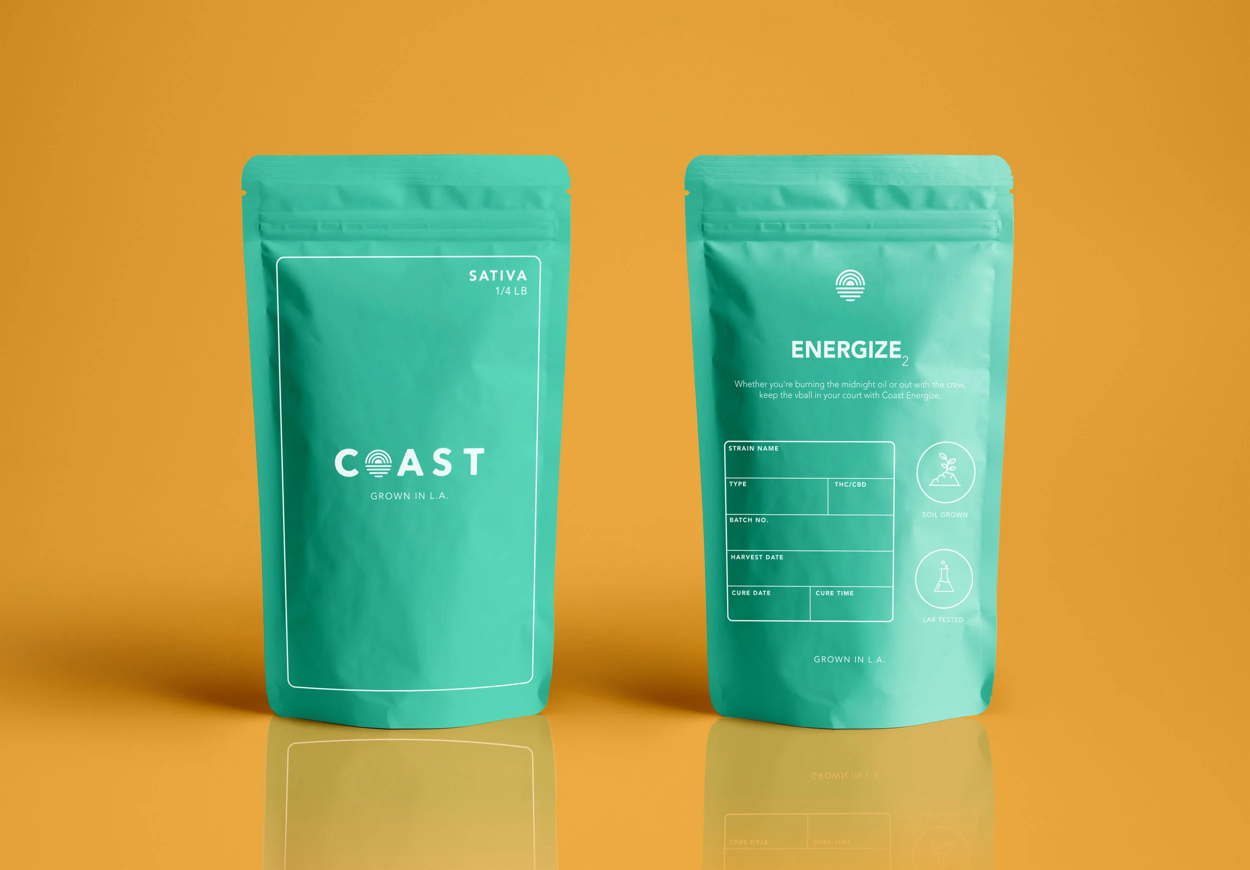 Plastic Pouch Packaging MockUp.jpg