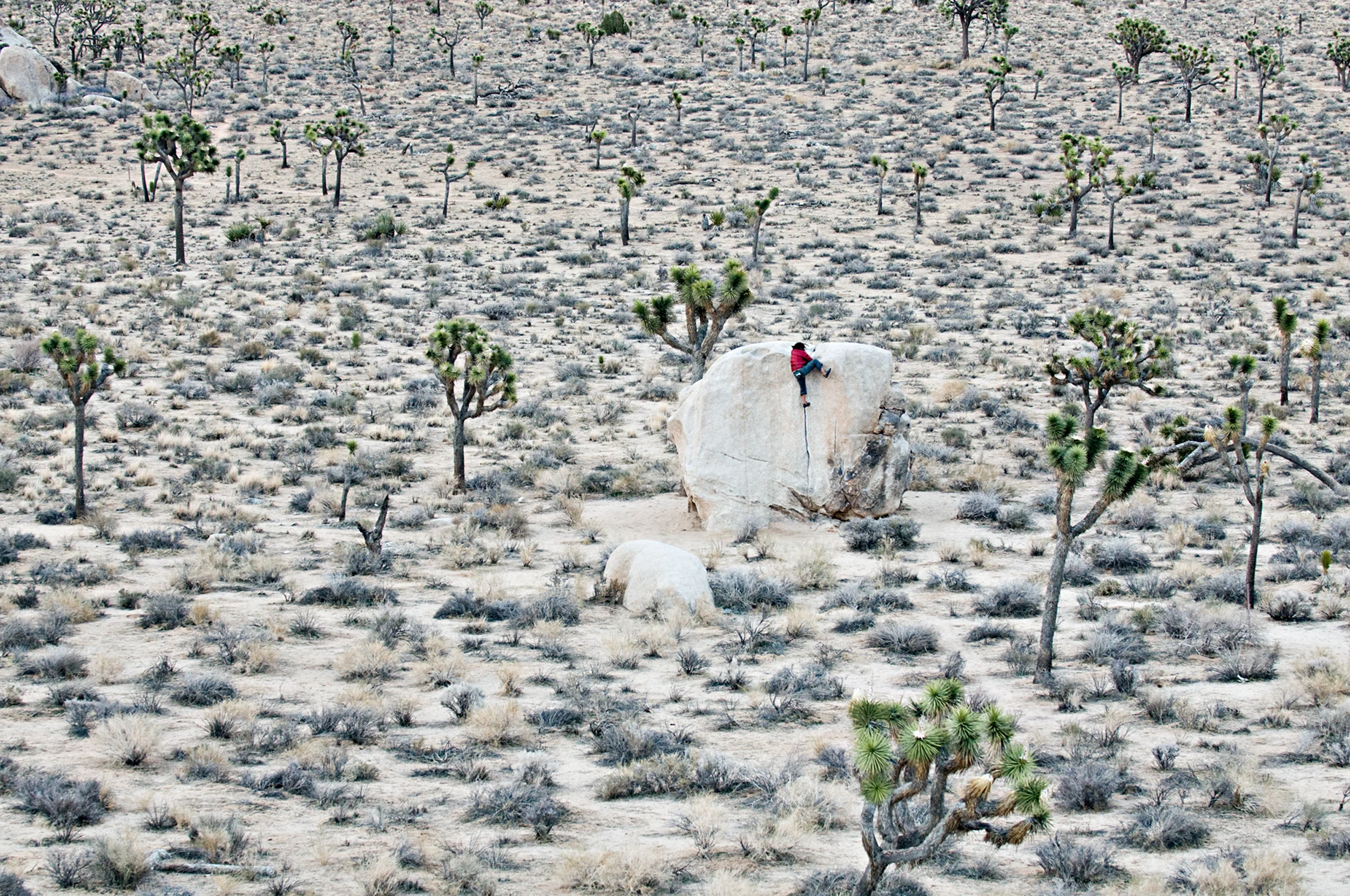 rtylerphoto_climbing_15.jpg