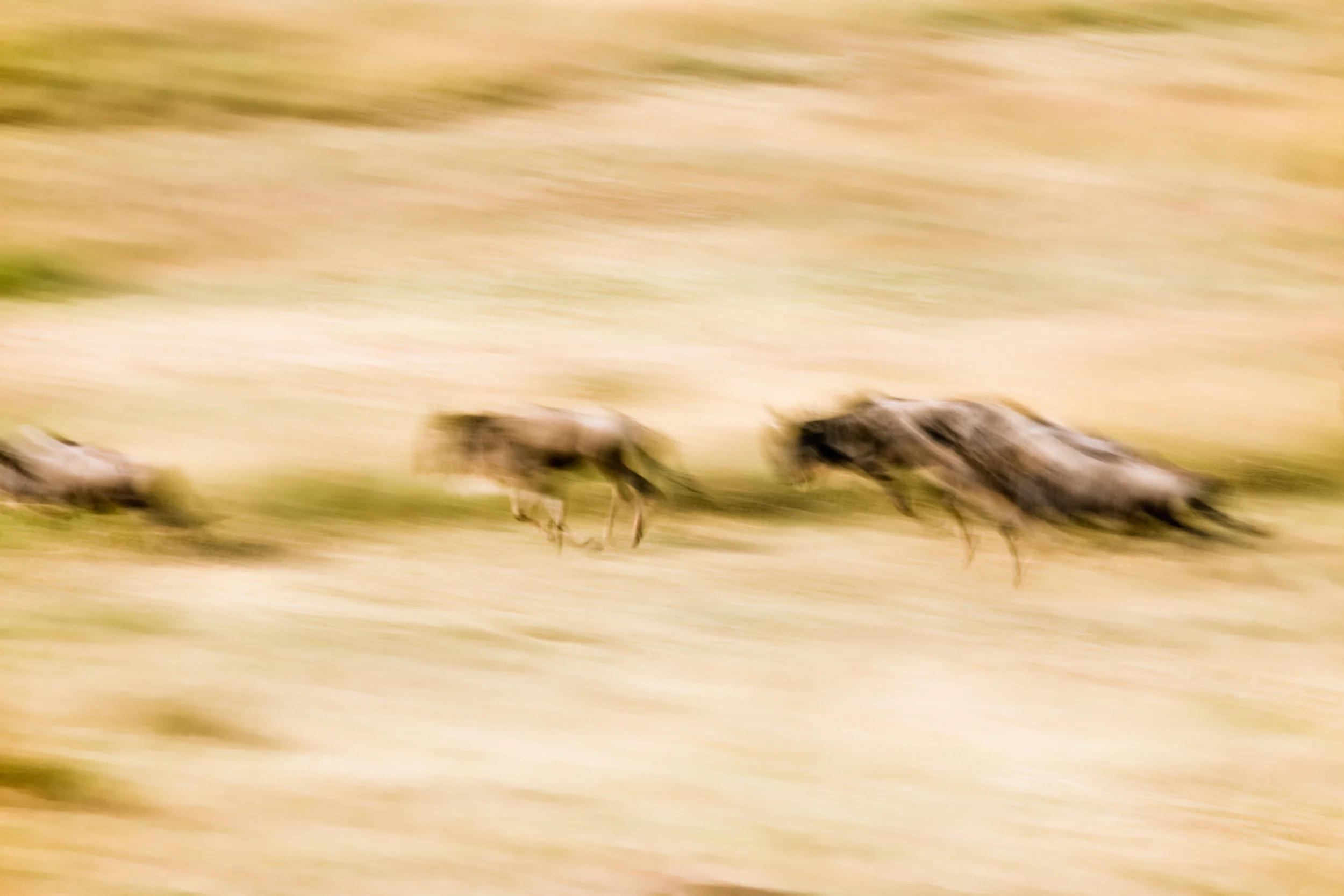 Day_10_035.jpg