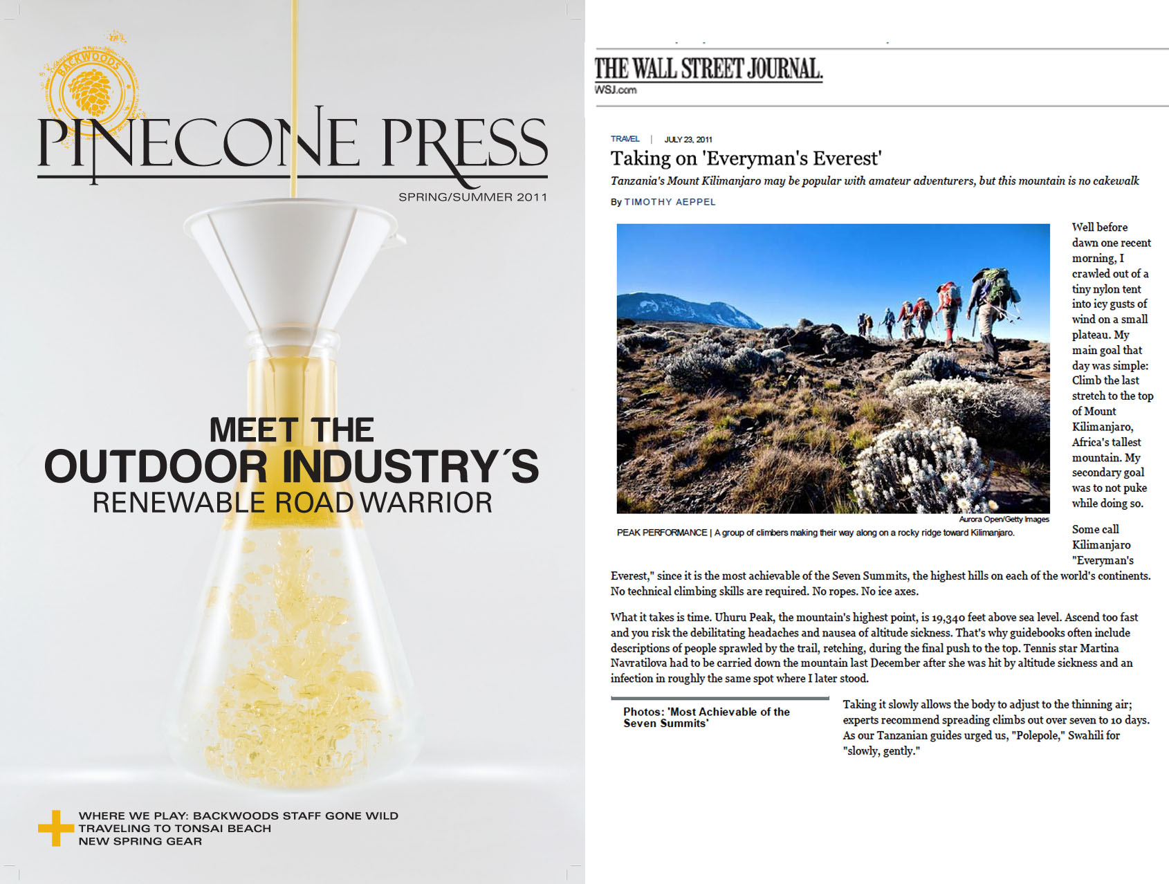PineconePress_Spring_11_Cover.jpg