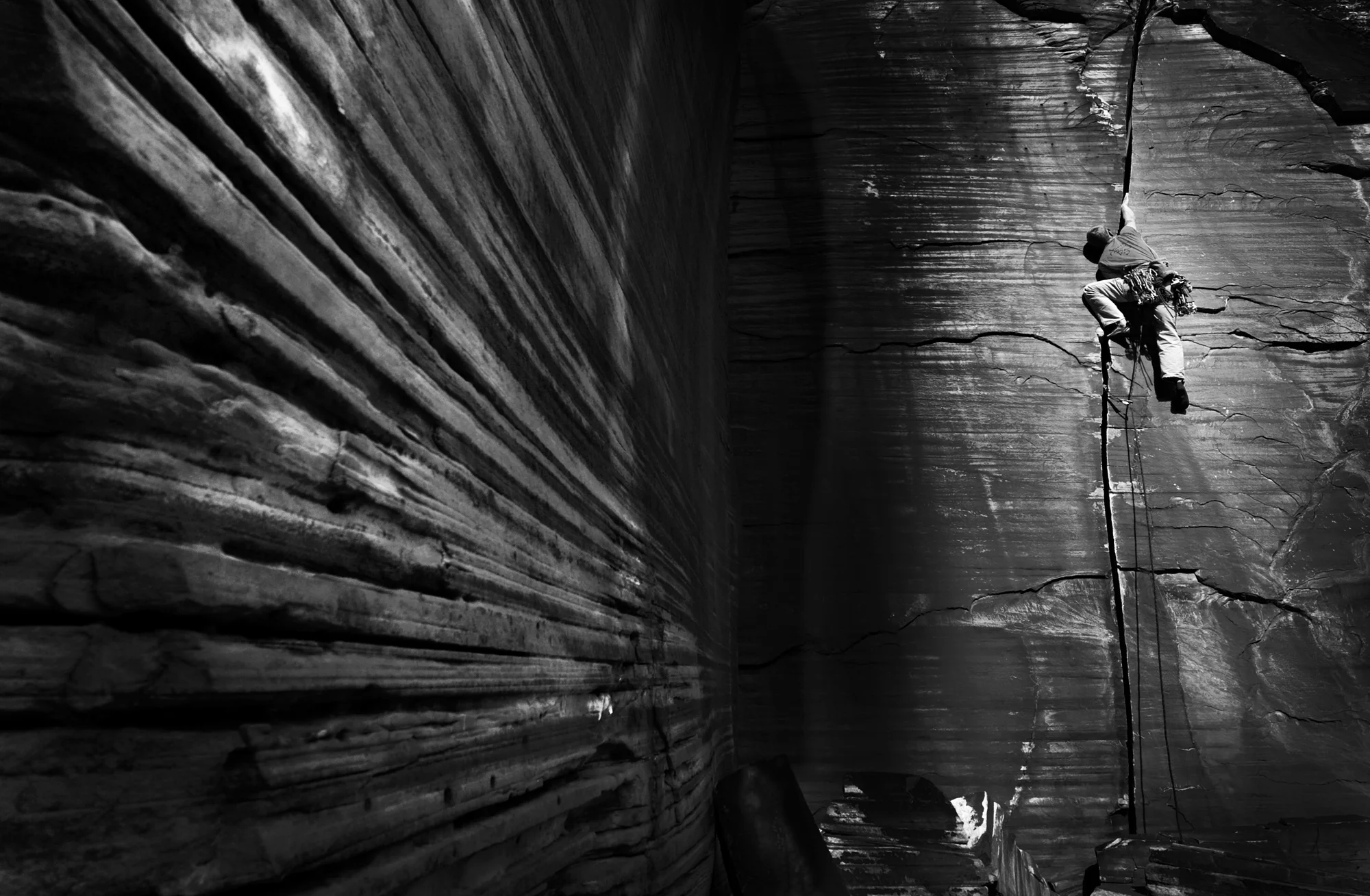 ©R. Tyler Gross_Hippytree_113bww.jpg