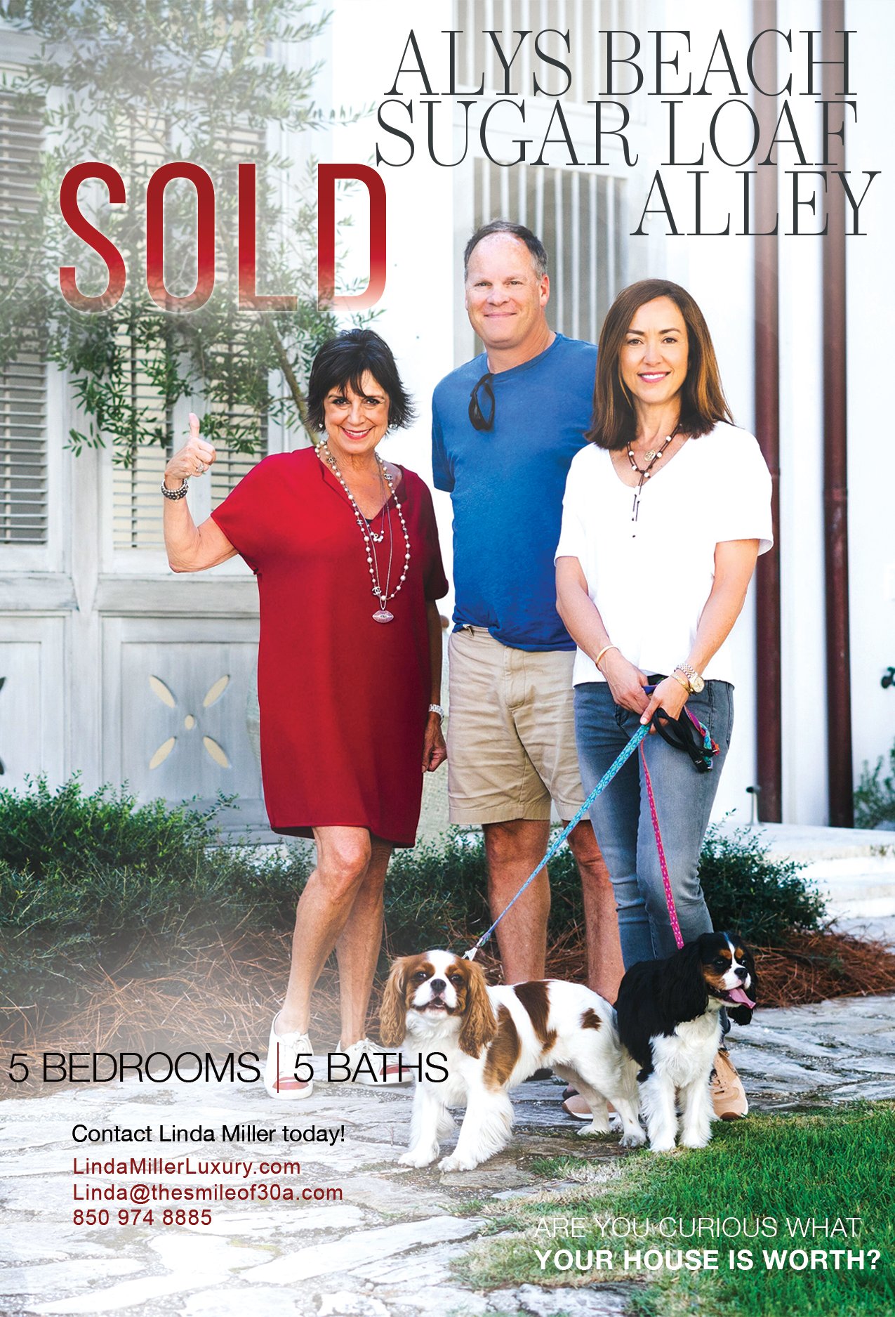 sugar loaf flyer_.jpg