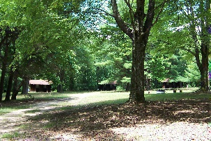 Picture_48.jpg
