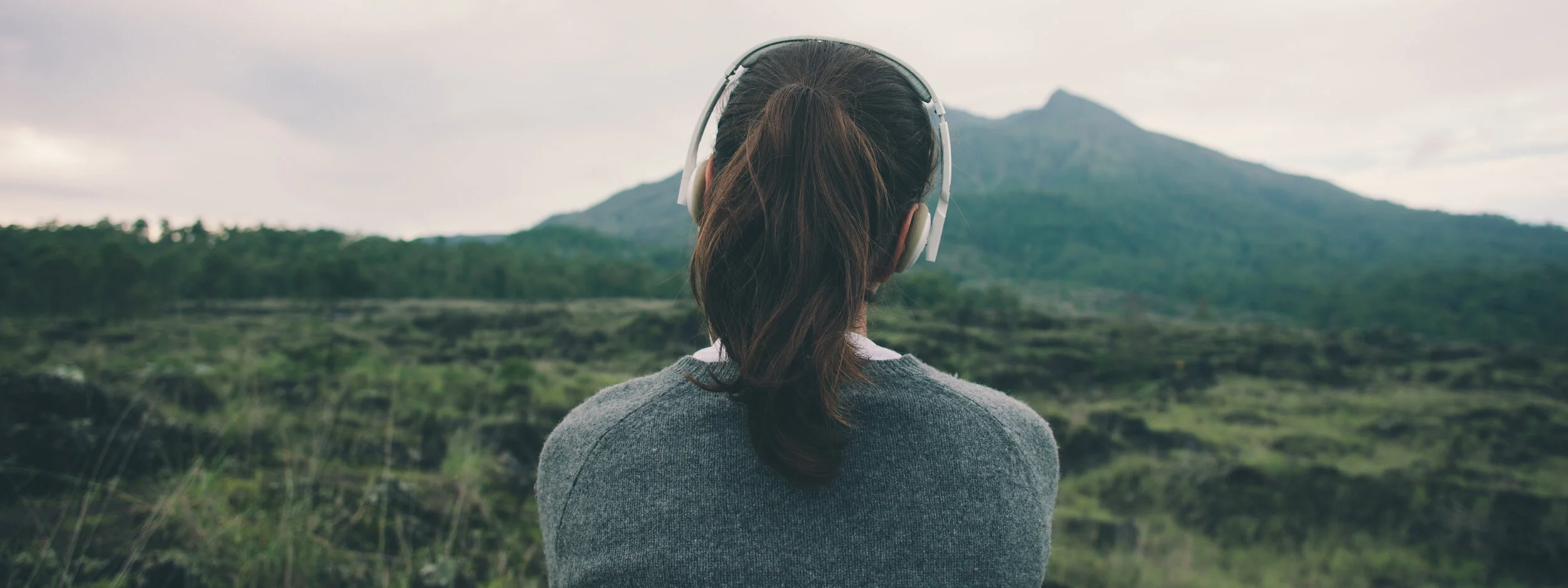 The Meditation of My Heart 
