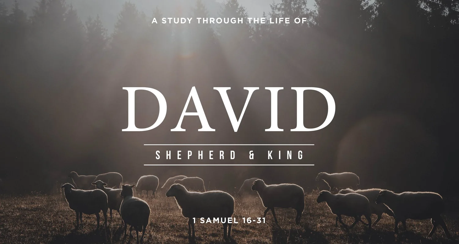 David (Part 6) episode artwork