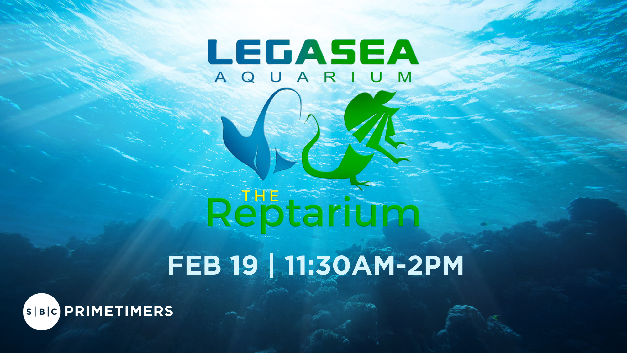 Primetimers | Legasea Aquarium &amp; Reptarium