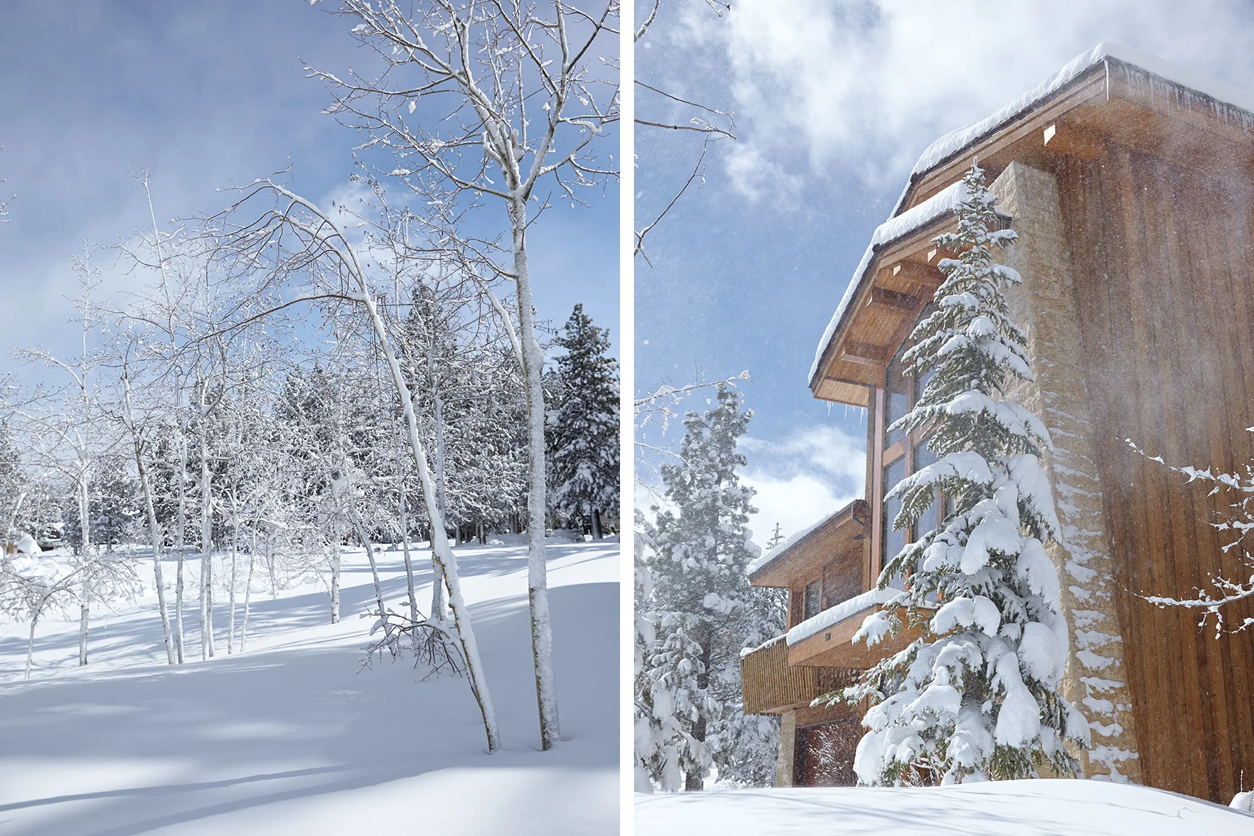 Gaszton_Architectural_Photographer_Obsidian_MammothLakes_California_8874.jpg
