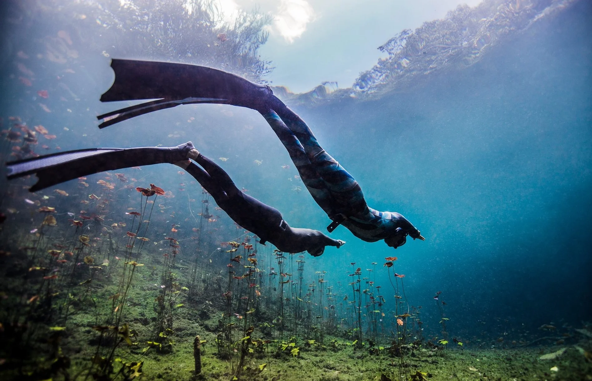 Advanced Course Freediving Tulum.jpg