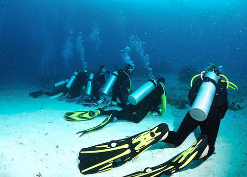 divemaster.png