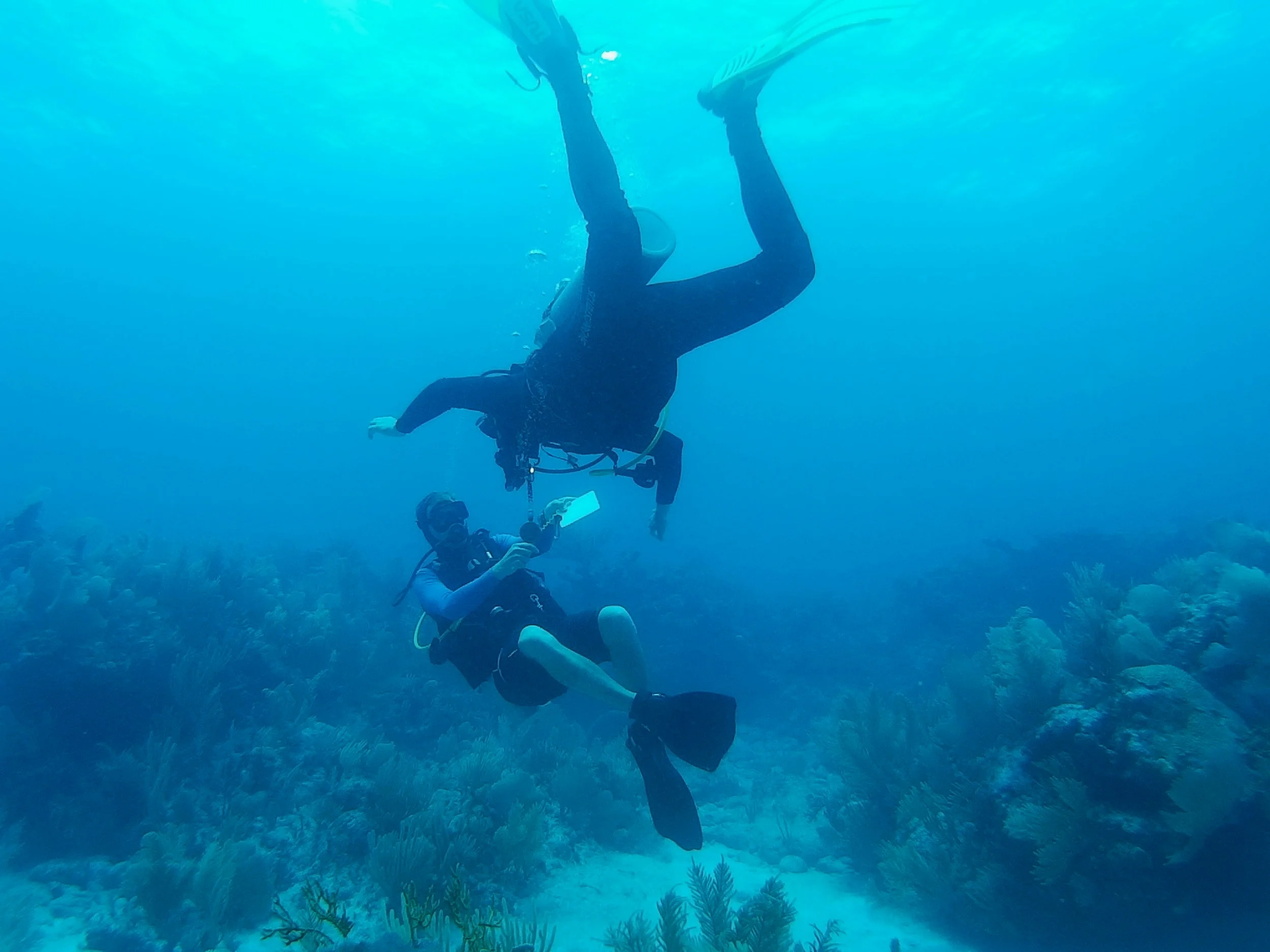 scuba12.jpg