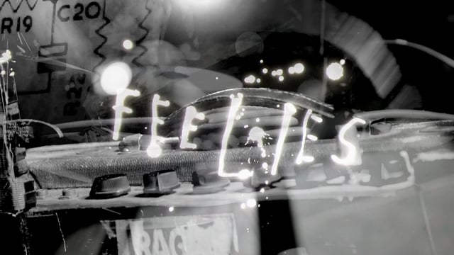 THE FEELIES "Flag Days"