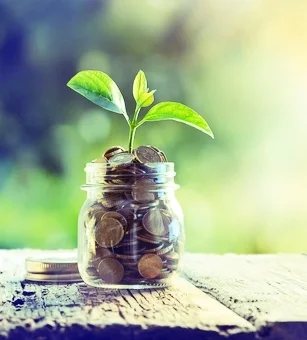 Money with leaves growing