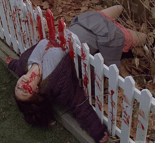GIF1.gif