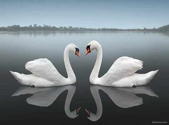 reflectionphotos20.jpg