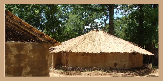 cherokee nation 4.jpg