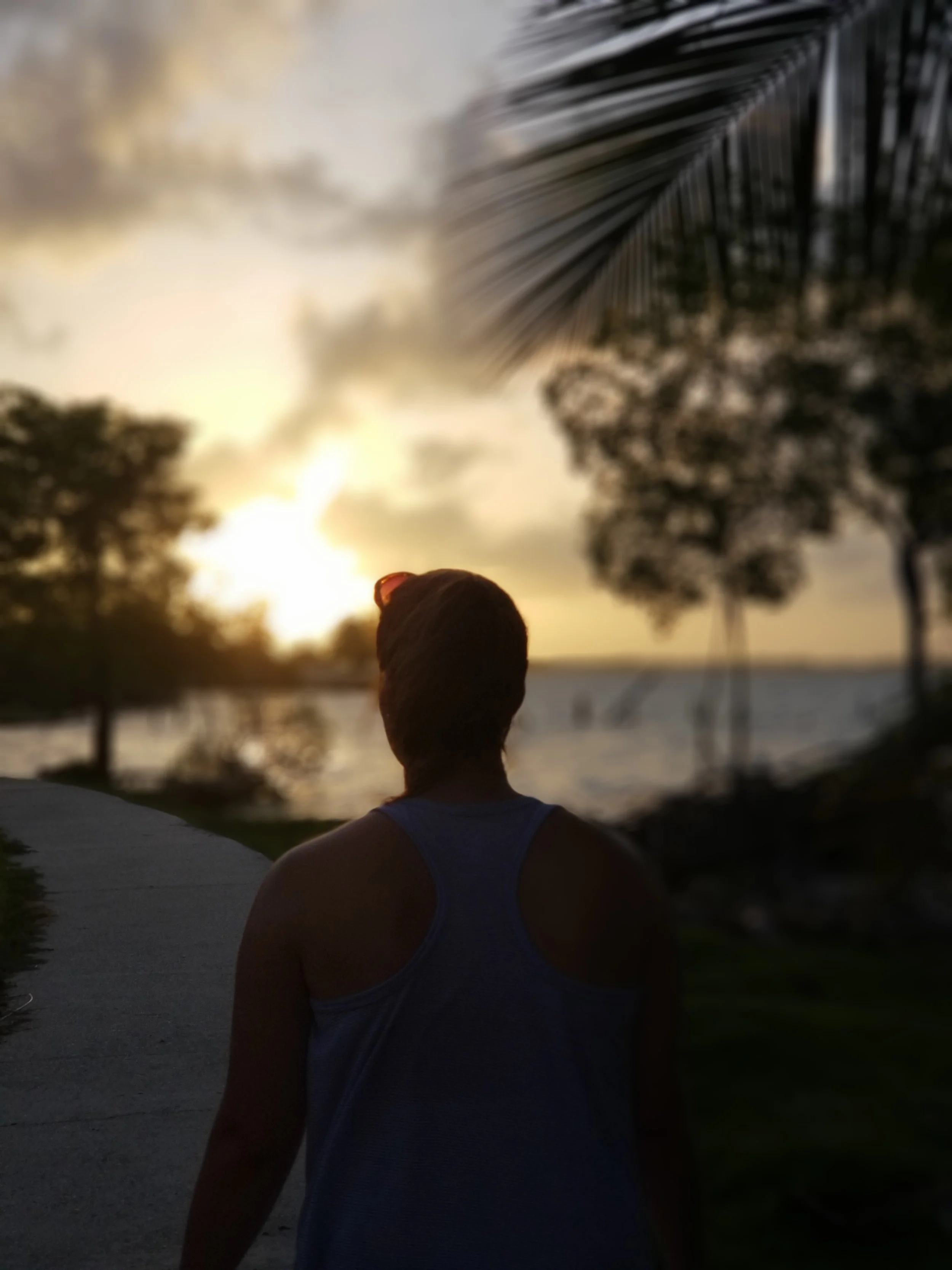 20180619_181358.jpg