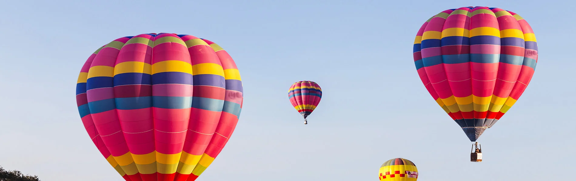 Hot air balloons.jpg