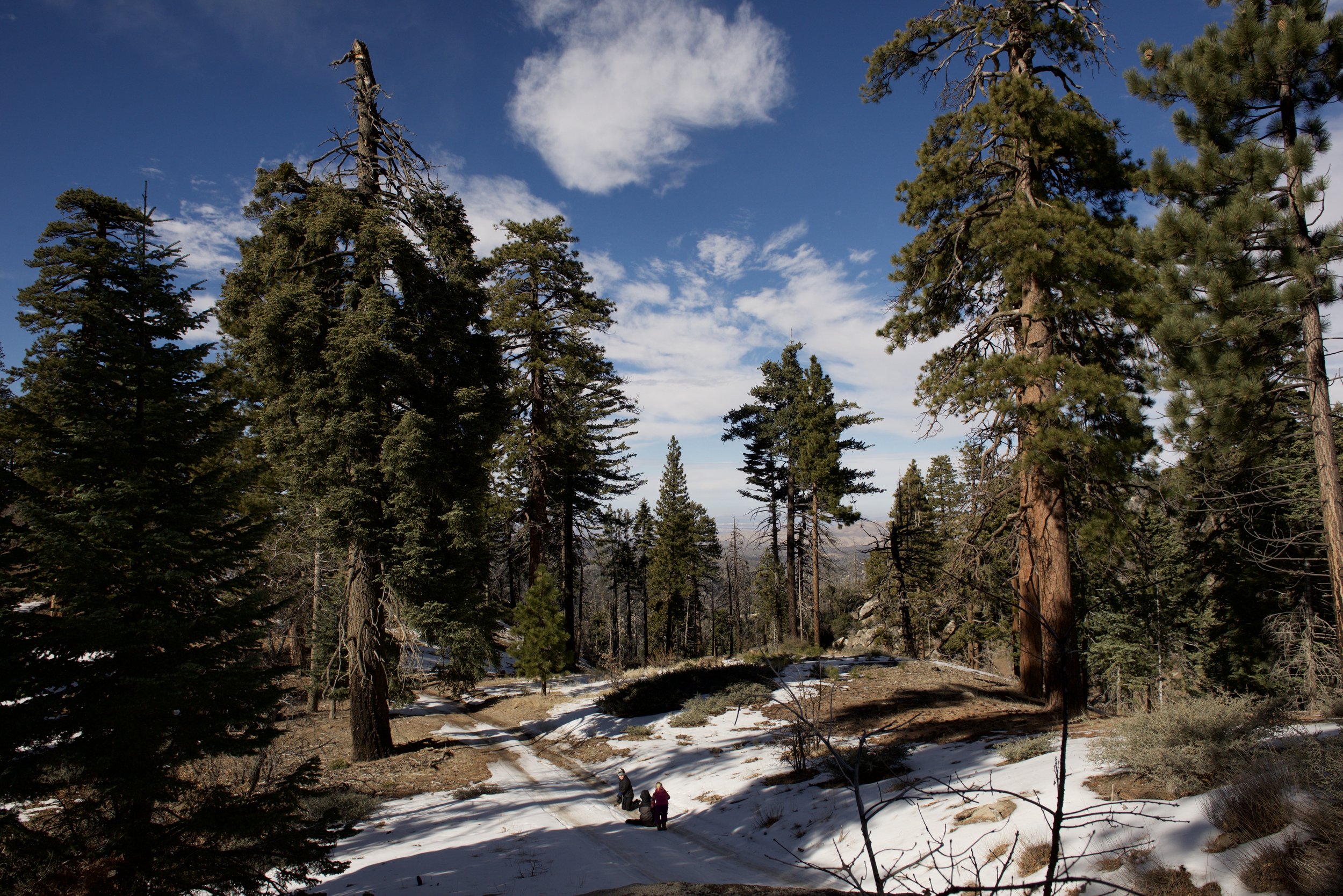 DSC_1491.jpg