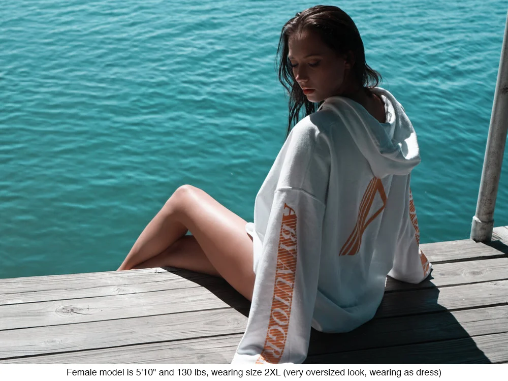 Autograf AA Hoodie B2.jpg