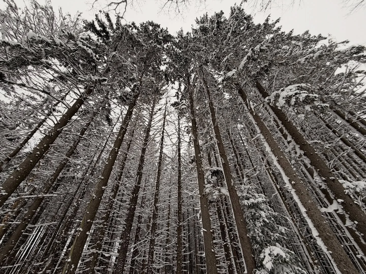 Winter sets. ❄️ +🏔️ = 😍 #realset #setlife #productionlife #filmset