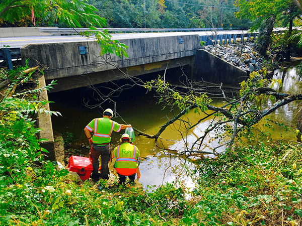 Bridge Situation