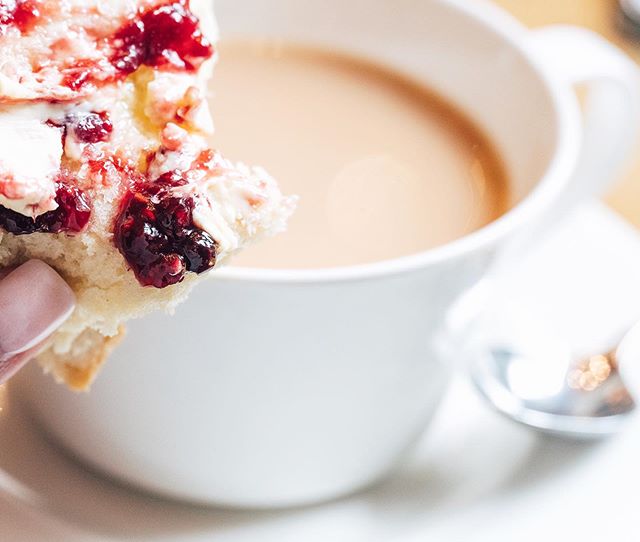 Cream Tea is a meal that consists of a pot of tea, a scone, clotted cream, and fresh jam. It combines my 4 greatest loves: caffeine, sugar, fat, and carbs.
.
I am absolutely determined to find a place that serves afternoon tea in Dallas or Fort Worth