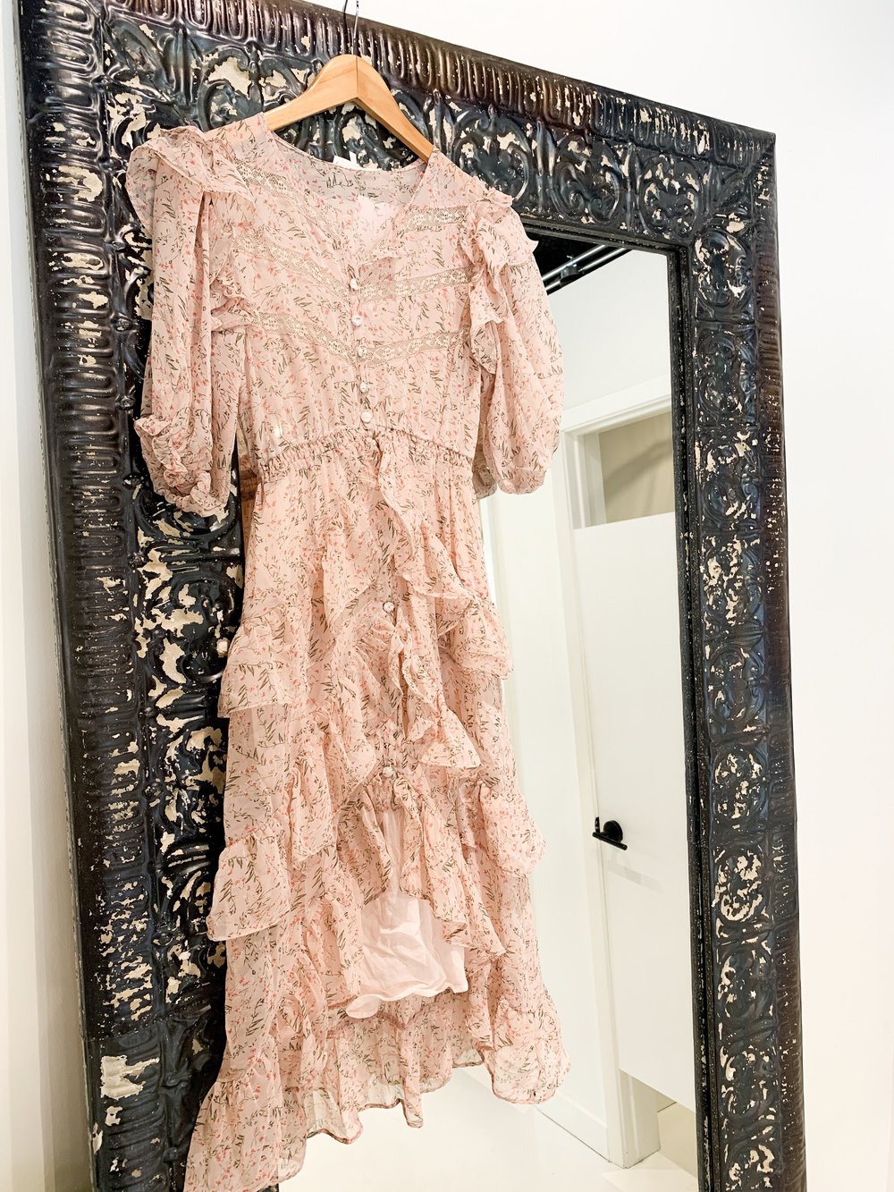 Alyson Johnson - IMG_4251.JPG