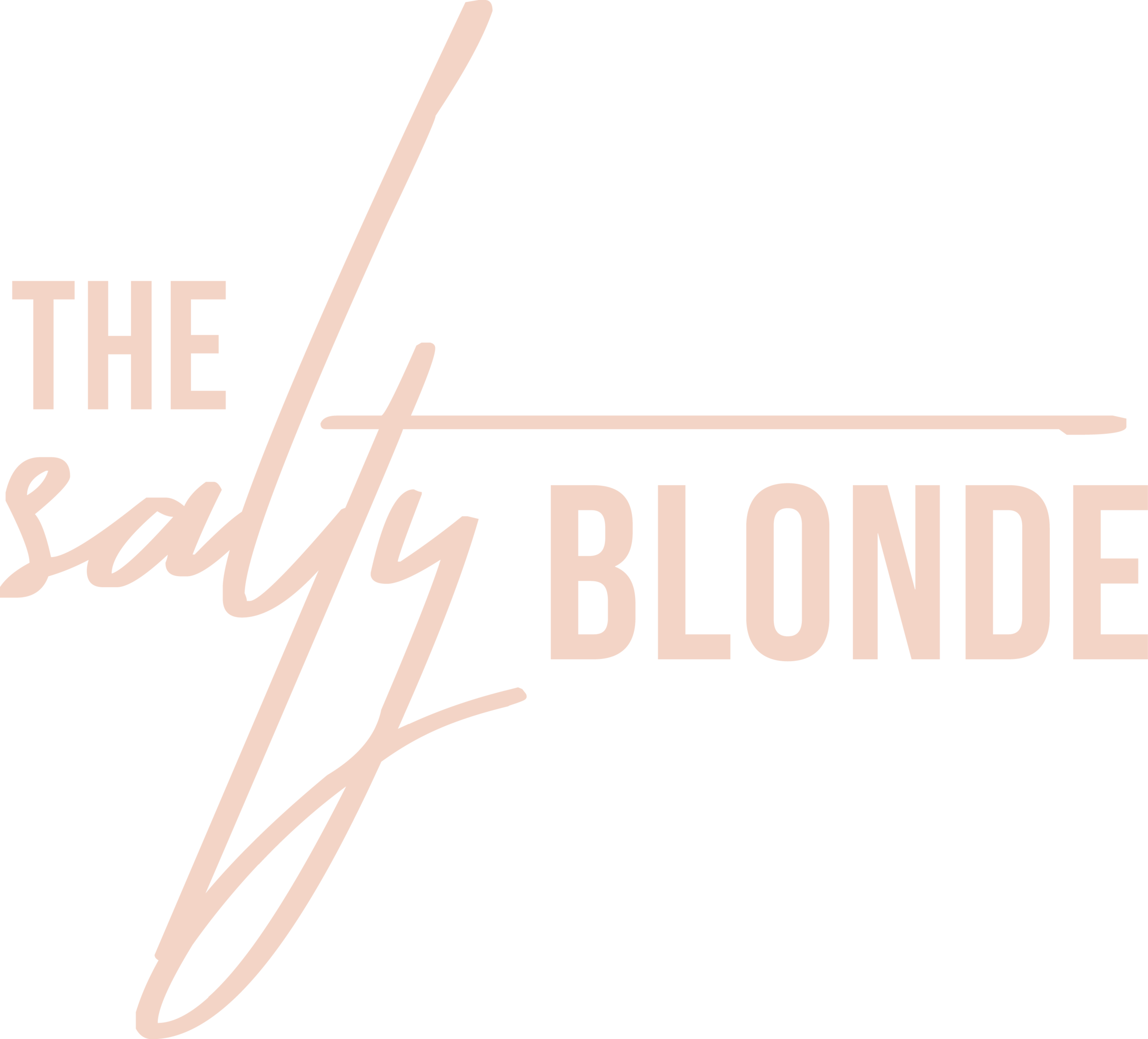The Salty Blonde