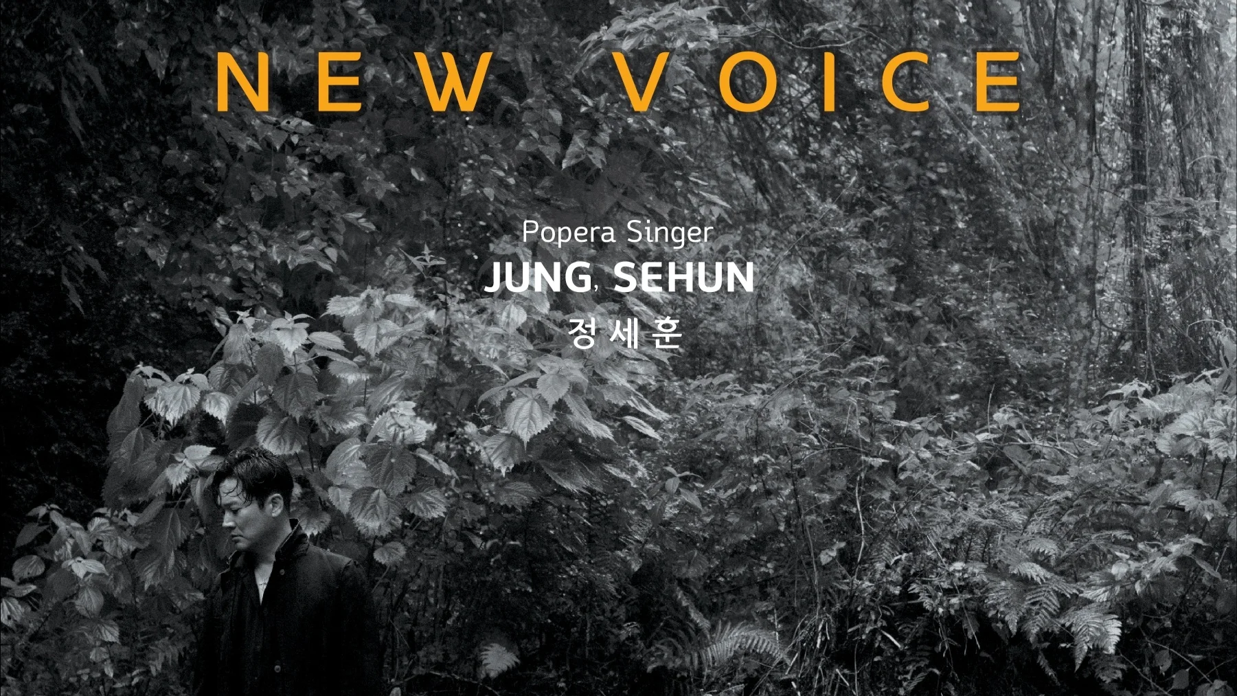 팝페라 가수 정세훈 뉴욕 콘서트 <New Voice>