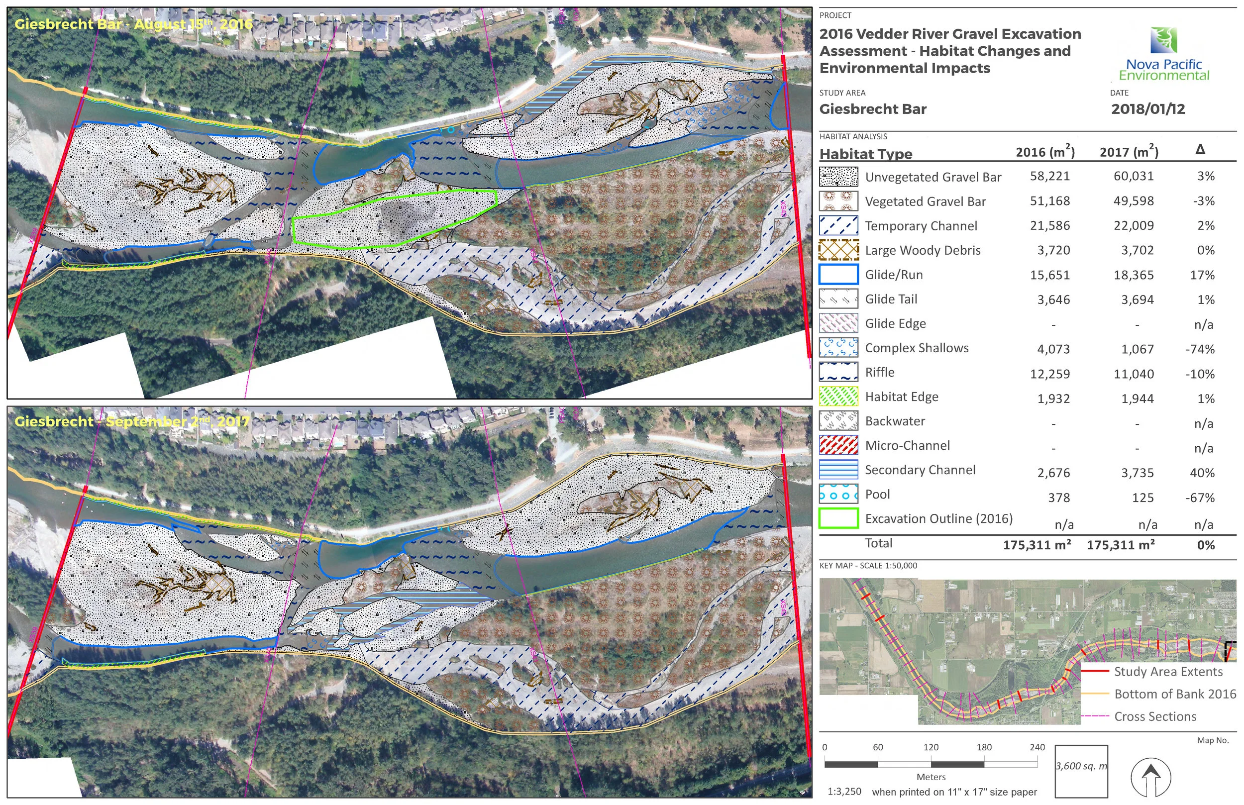Habitat Change Along the Vedder River