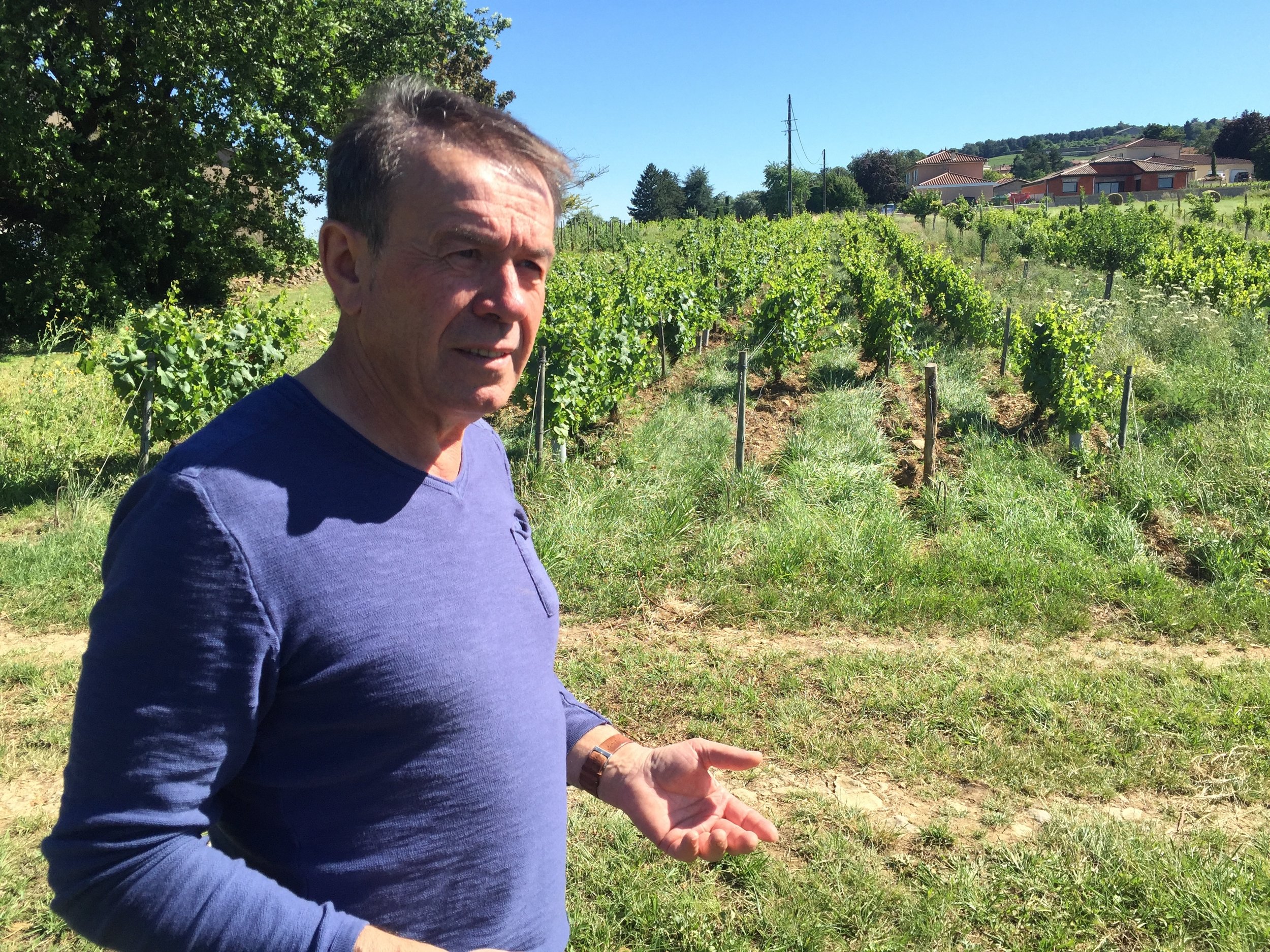 Bernard Vallette — MFW Wine Co.
