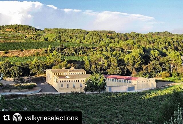 Spanish Bubbles! We 💛 Mercat. #Repost @valkyrieselections
・・・
Mercat.⠀⠀⠀⠀⠀⠀⠀⠀⠀
This is where it began, about 45 minutes outside Barcelona.⠀⠀⠀⠀⠀⠀⠀⠀⠀
This actually used to be an old paper mill. A strangely beautifully situated paper mill.⠀⠀⠀⠀⠀⠀⠀⠀⠀
Now