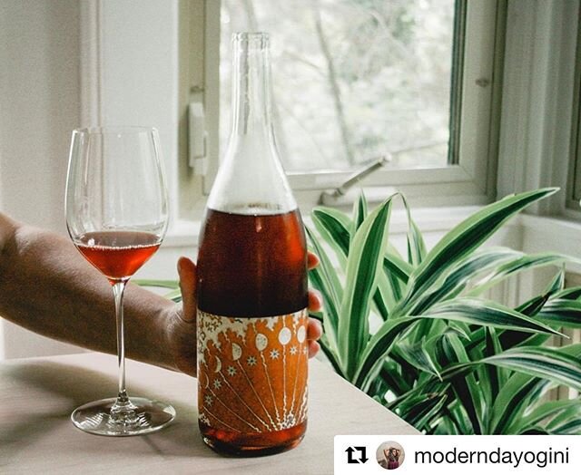 This wine is perplexing to me in the BEST WAY. #Repost @moderndayogini ・・・
Mission accomplished: found my summer wine. &bull;100% Mission grapes from Lodi
&bull;100% whole cluster fermentation
&bull;4 months French oak + 1 month concrete
&bull;Vines 