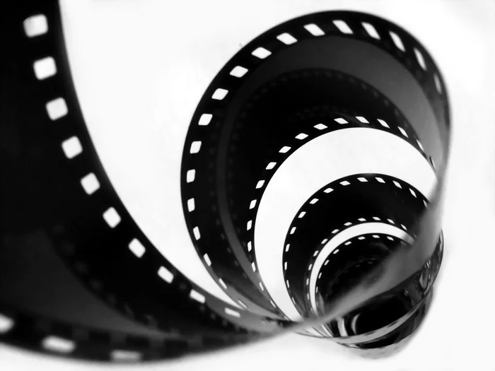 The Humanists: Catherine Jurca