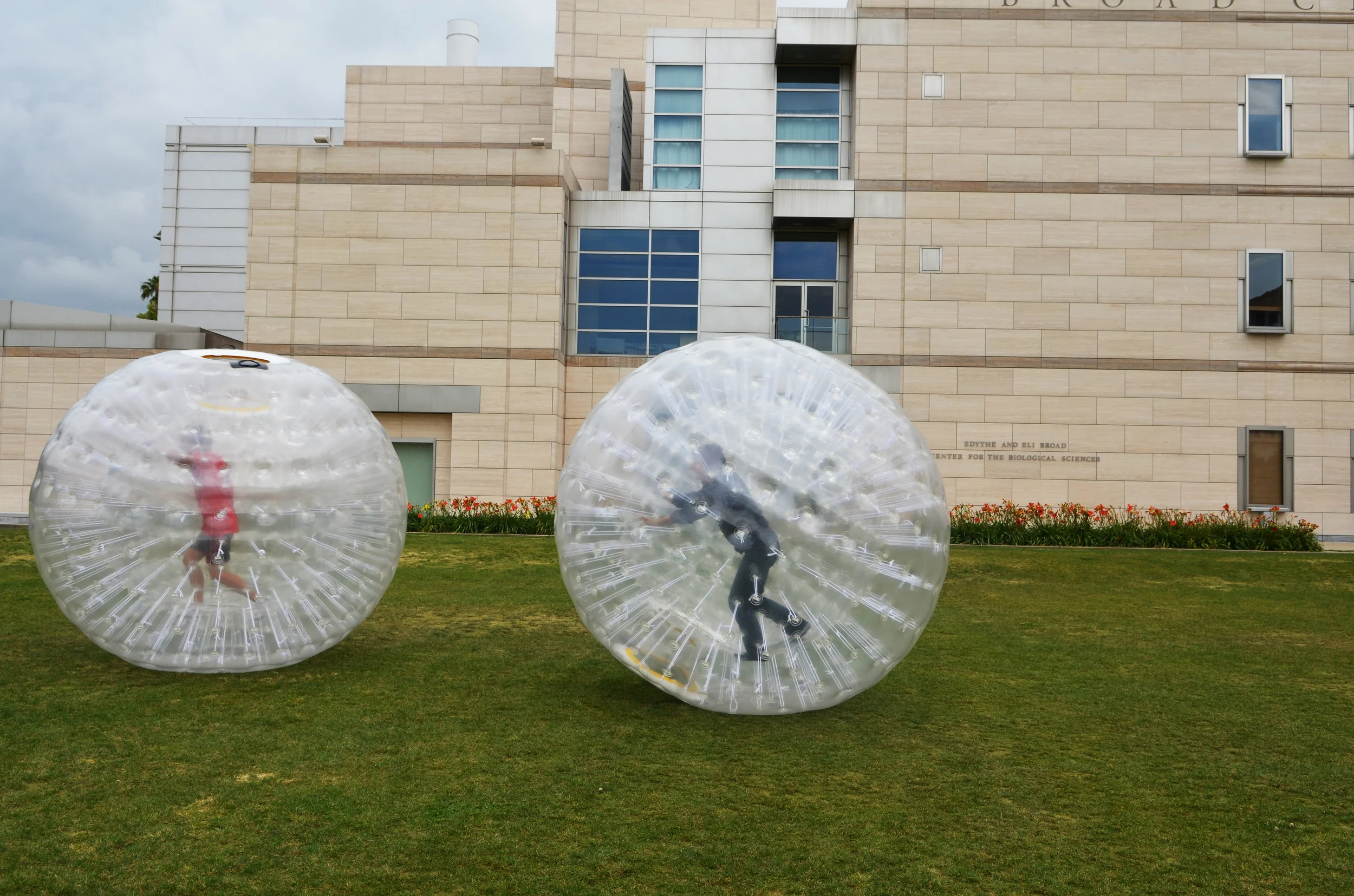 Ditch Day: On A Roll