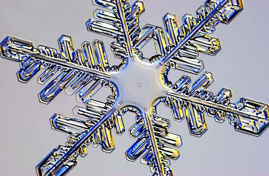 No Two Alike, But How Different?